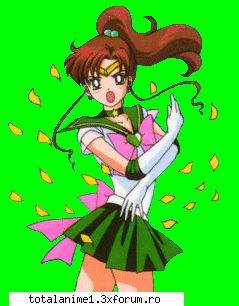 Sailor Jupiter - sailor_zeita_mars - .::Sailor Moon::.