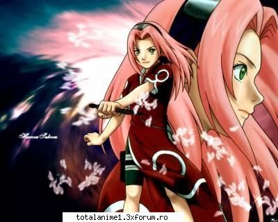 =d sakura