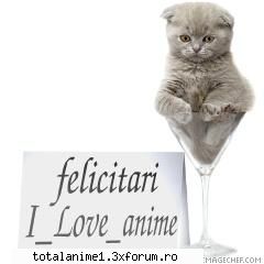 ghiciti personajul anime din umbra - uite diploma ta - .::Concursuri::.